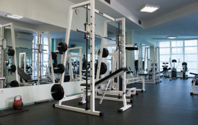 Физкультурно-оздоровительный комплекс «Домостроитель»